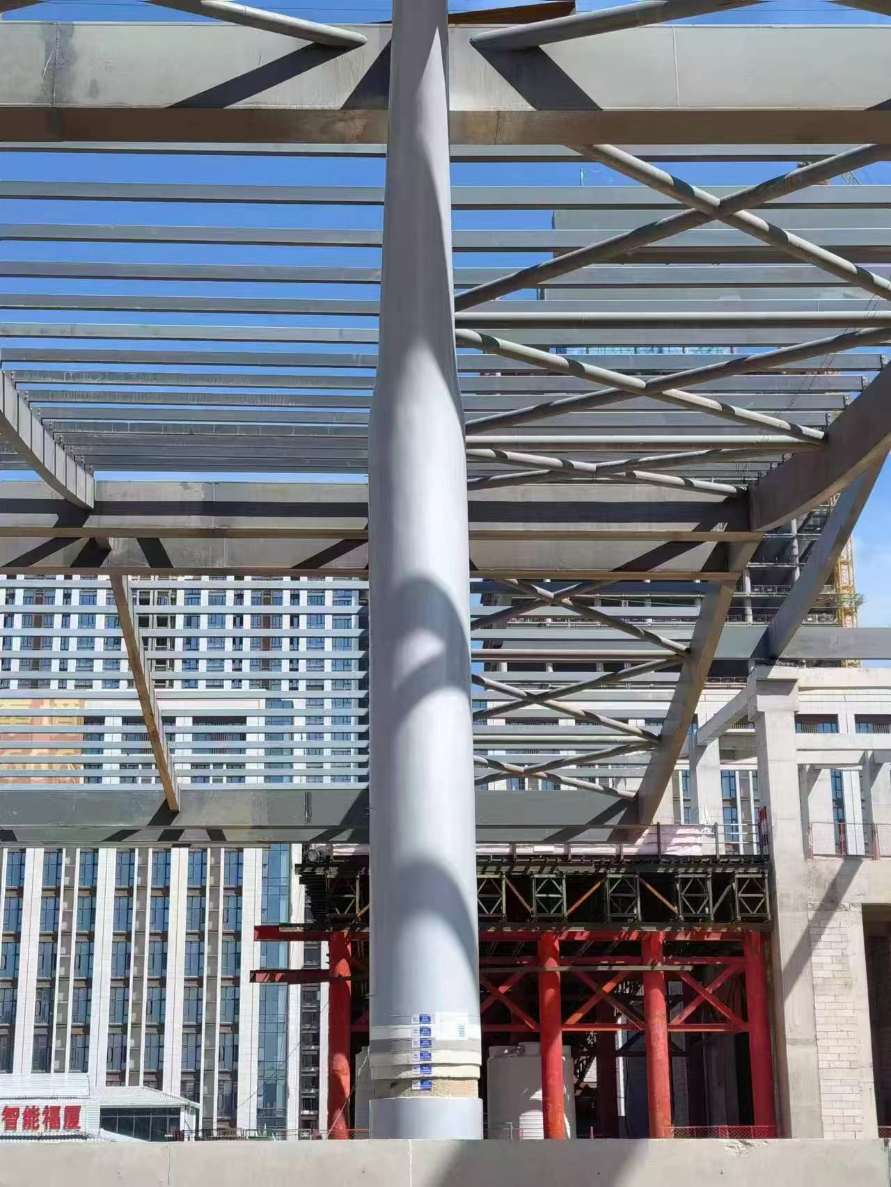 Protected structural column project